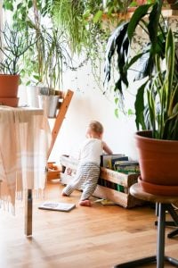 little boy playing on a couch indoors